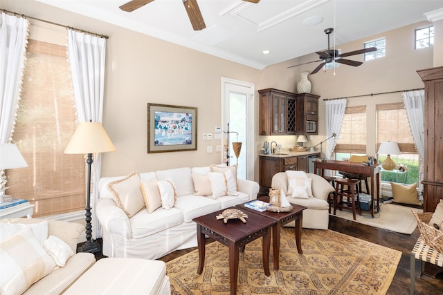 living room featuring ceiling fan, crown molding, and sink