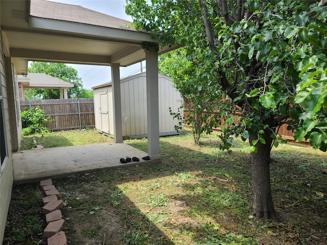 view of yard with a shed