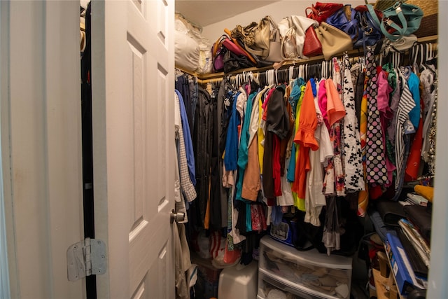 view of spacious closet