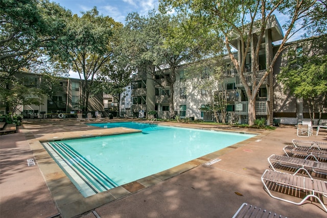 view of pool featuring a patio area