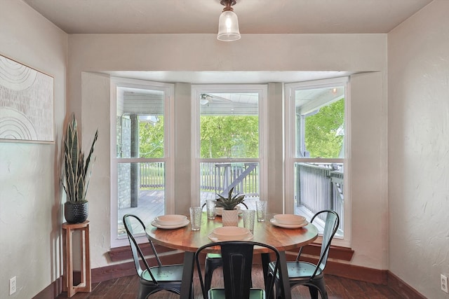 dining area with dark hardwood / wood-style flooring