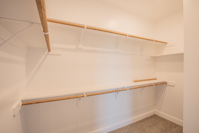 spacious closet with carpet floors