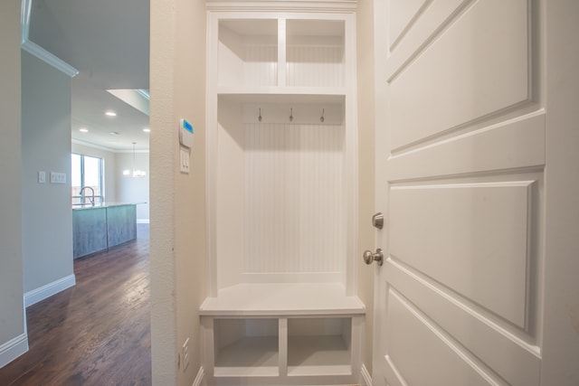 mudroom featuring crown molding, sink, and dark wood-type flooring