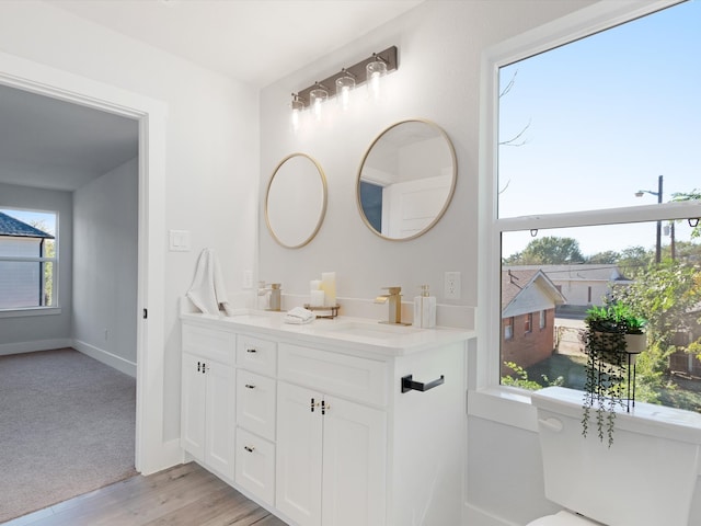 bathroom with wood-type flooring and vanity