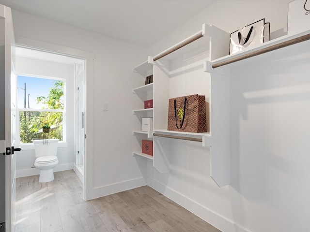 walk in closet featuring light hardwood / wood-style floors