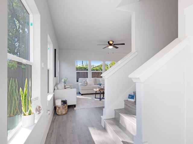 stairs featuring hardwood / wood-style floors and ceiling fan