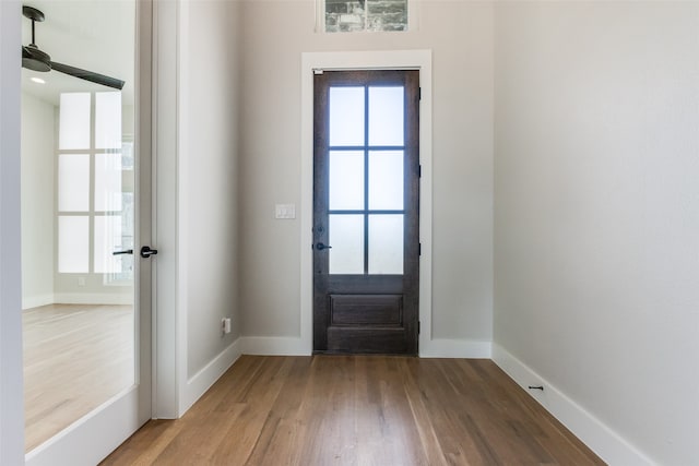 entryway featuring wood-type flooring