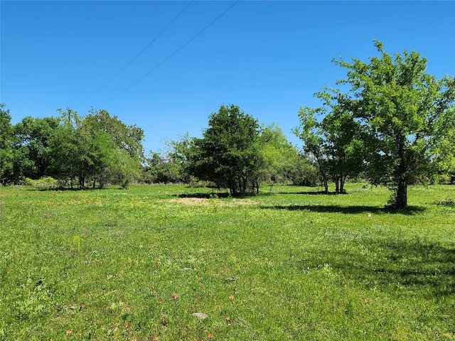 Listing photo 3 for TBD County Road 335, Ranger TX 76470