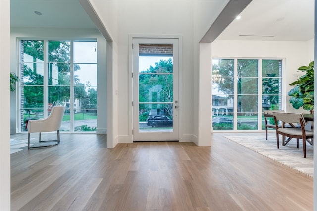 entryway with a wealth of natural light and light hardwood / wood-style flooring