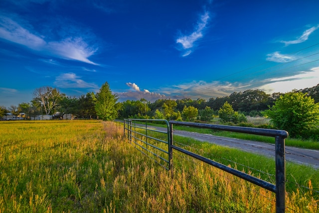 Listing photo 3 for TBD Vz County Road 4212, Ben Wheeler TX 75754