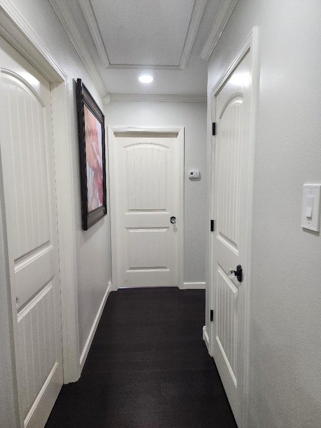 hallway with ornamental molding and dark wood-type flooring