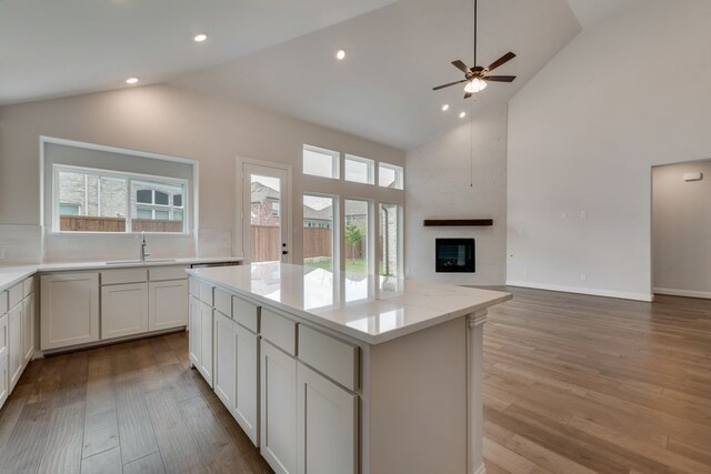 kitchen with a sink, a kitchen island, wood finished floors, open floor plan, and a large fireplace