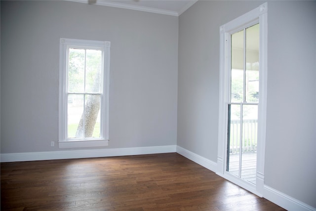 spare room featuring ornamental molding, dark hardwood / wood-style flooring, and a healthy amount of sunlight