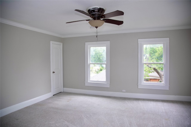 unfurnished room featuring ornamental molding, ceiling fan, and carpet flooring