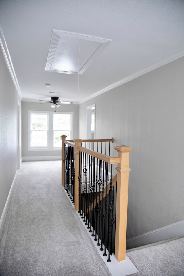 hallway featuring carpet and crown molding