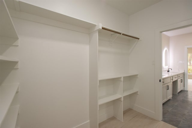 spacious closet featuring a sink