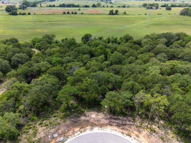 612 Dana Ct, Tolar TX, 76476 land for sale