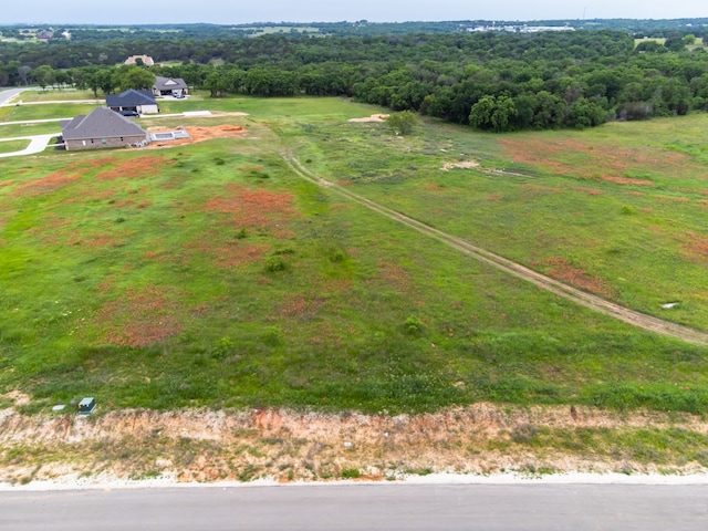 3006 Haylee Dr, Granbury TX, 76048 land for sale