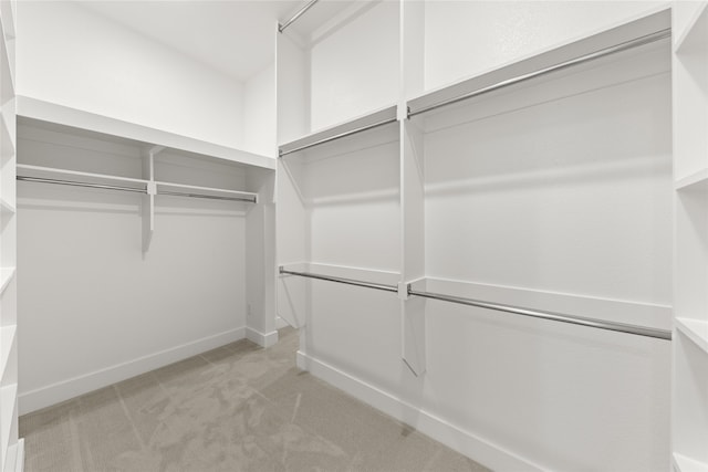 spacious closet with light carpet