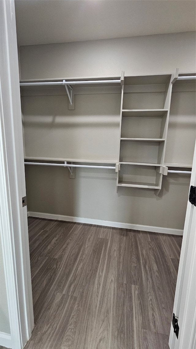 walk in closet featuring dark hardwood / wood-style floors