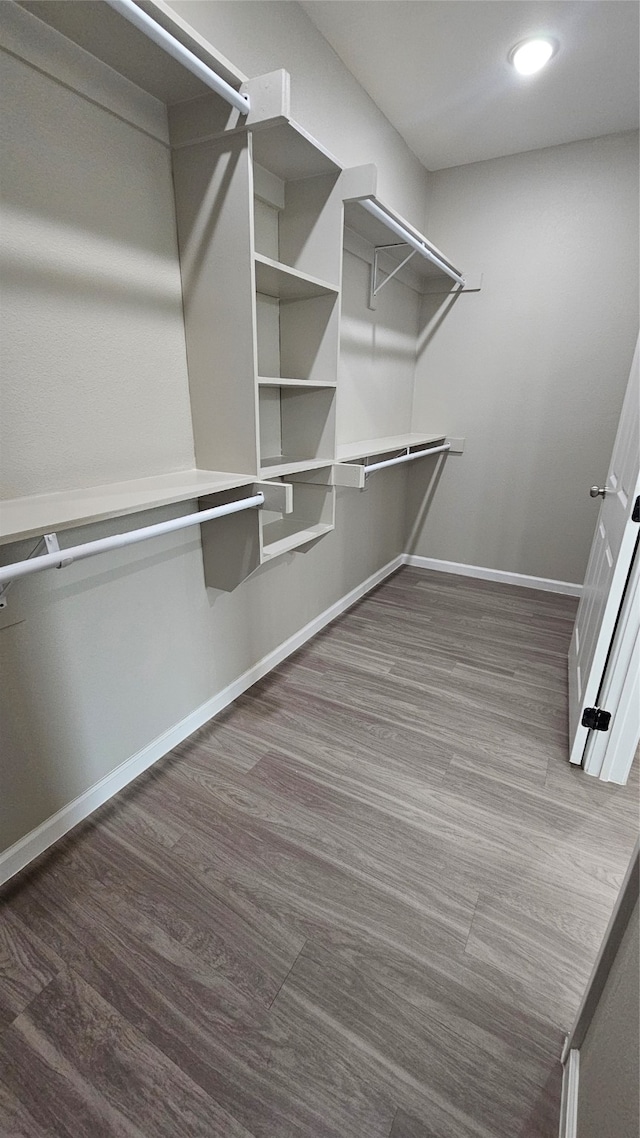 walk in closet with dark hardwood / wood-style floors