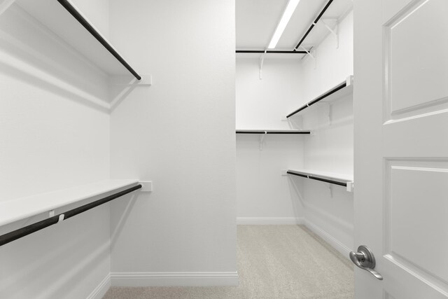 walk in closet with light colored carpet