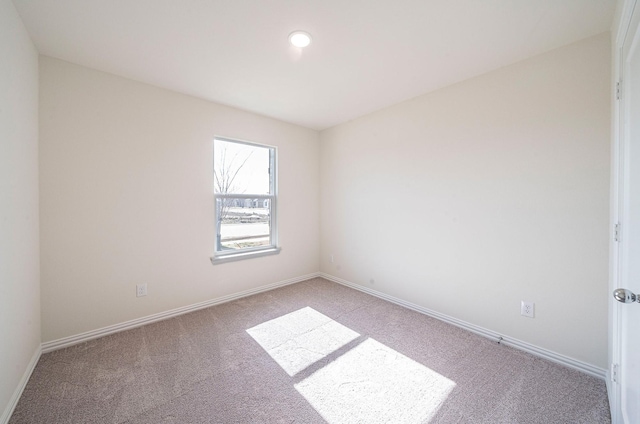 bedroom featuring carpet flooring