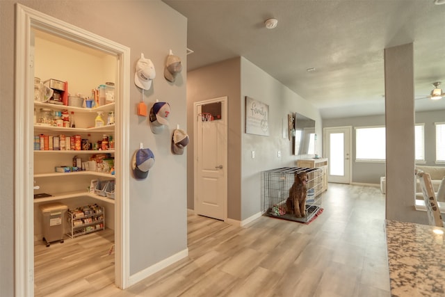 hall featuring light wood-type flooring