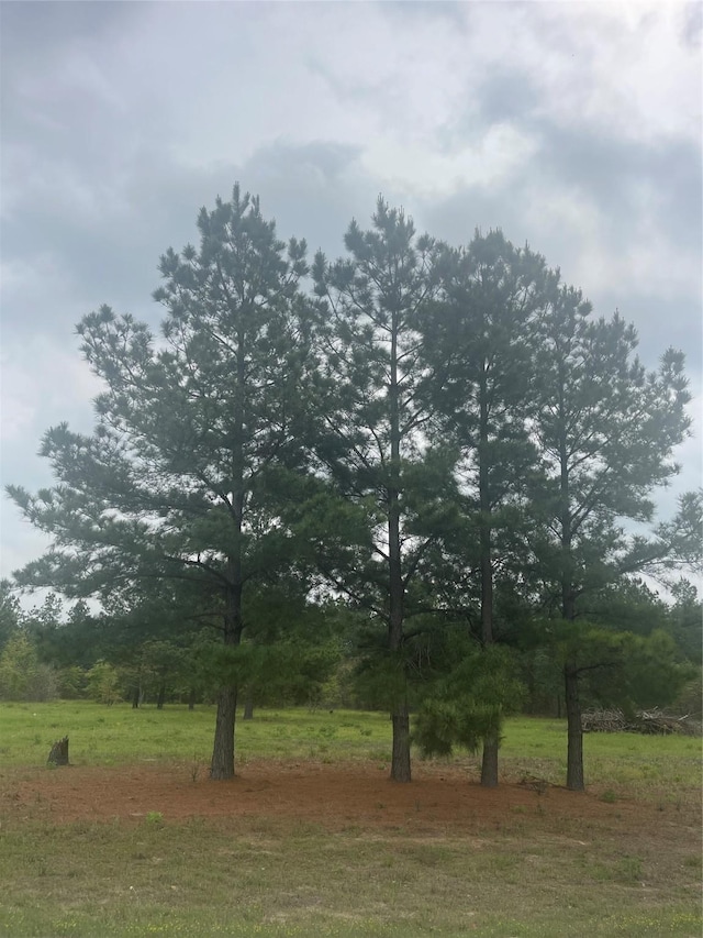 Listing photo 3 for TBD County Road 446, Lindale TX 75771