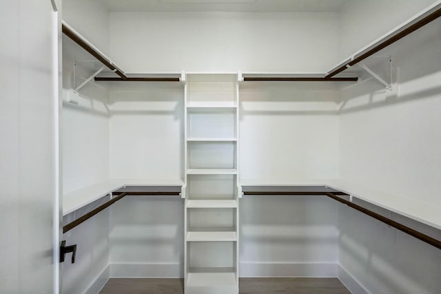 spacious closet featuring wood-type flooring