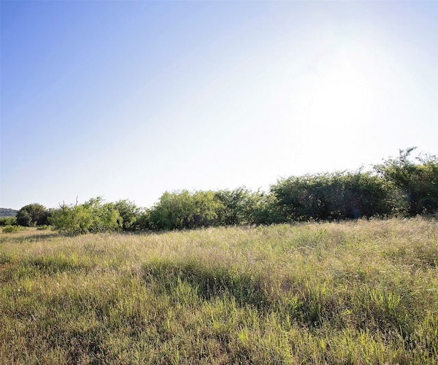 LOT444 Indigo Bush Ct, Graford TX, 76449 land for sale