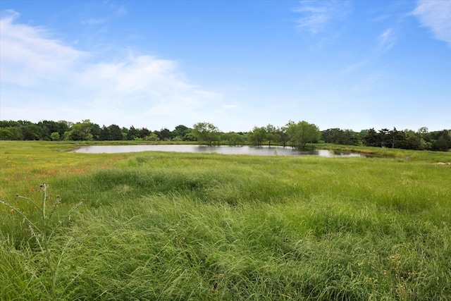 view of local wilderness with a water view