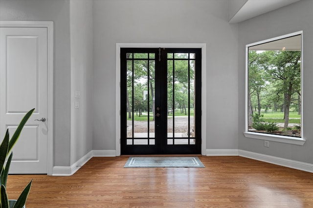 foyer with plenty of natural light, baseboards, and wood finished floors