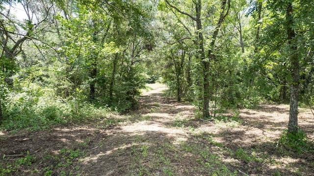 Listing photo 2 for 244 Eleven League Rd, Ennis TX 75119