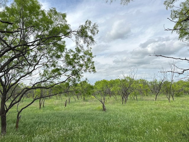 TBD County Rd 100, Abilene TX, 79601 land for sale