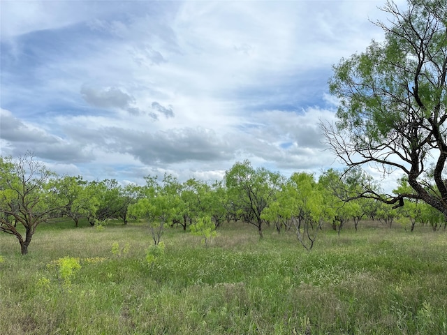 Listing photo 2 for TBD County Rd 100, Abilene TX 79601