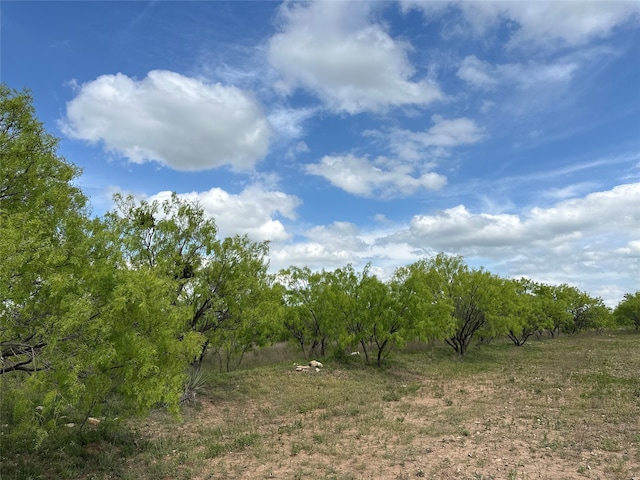 Listing photo 3 for TBD County Rd 100, Abilene TX 79601