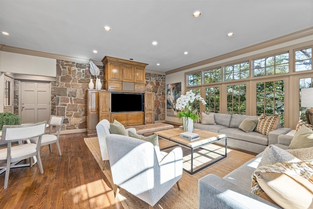 living room featuring crown molding and dark wood-type flooring