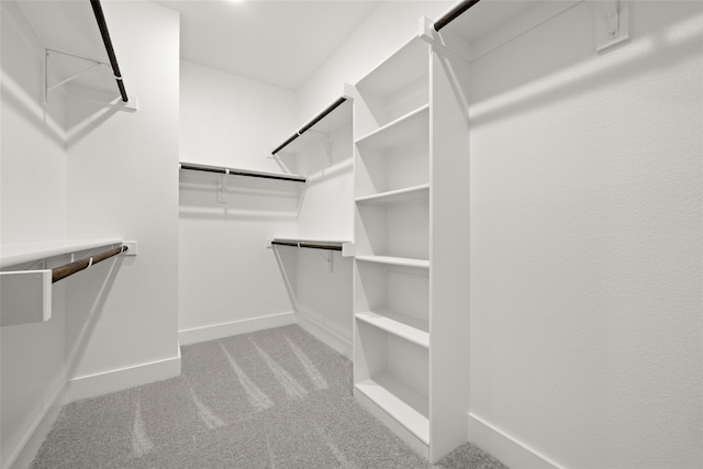 spacious closet with light carpet