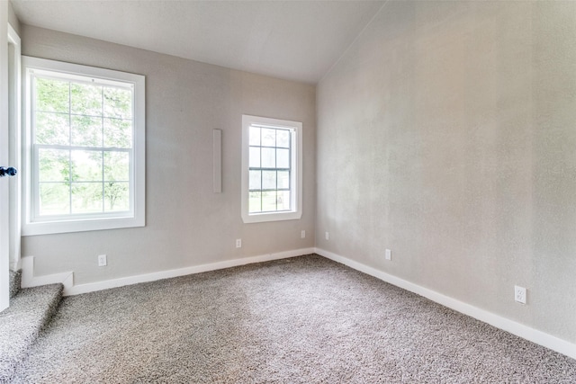 spare room with carpet flooring