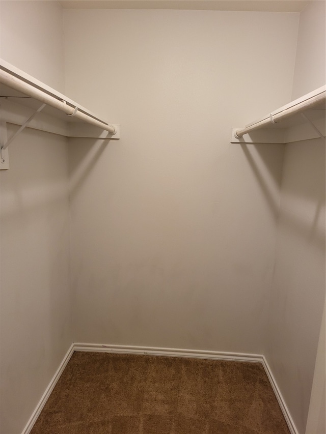 walk in closet with carpet flooring