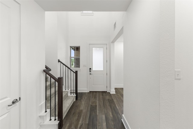 foyer entrance featuring dark wood-type flooring