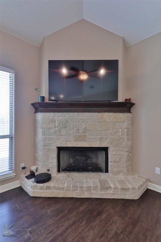 details featuring a stone fireplace and wood-type flooring