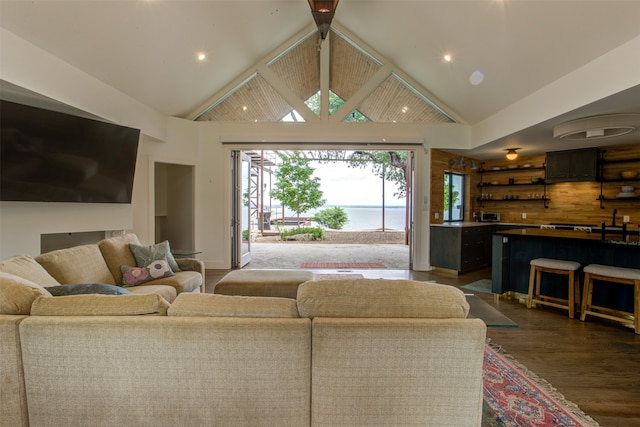 living room with high vaulted ceiling, dark hardwood / wood-style floors, and sink