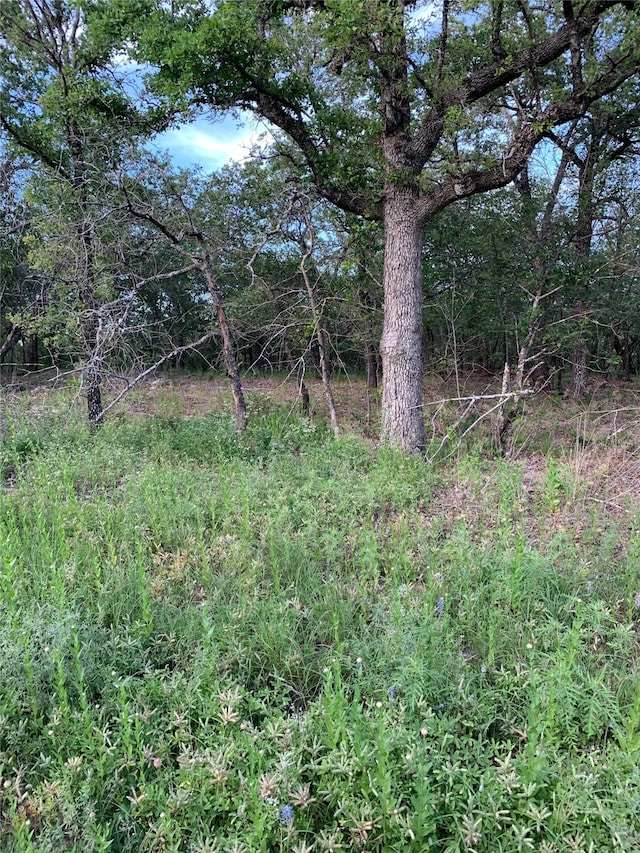 Listing photo 2 for LOT23 Hauser Pl, Runaway Bay TX 76426