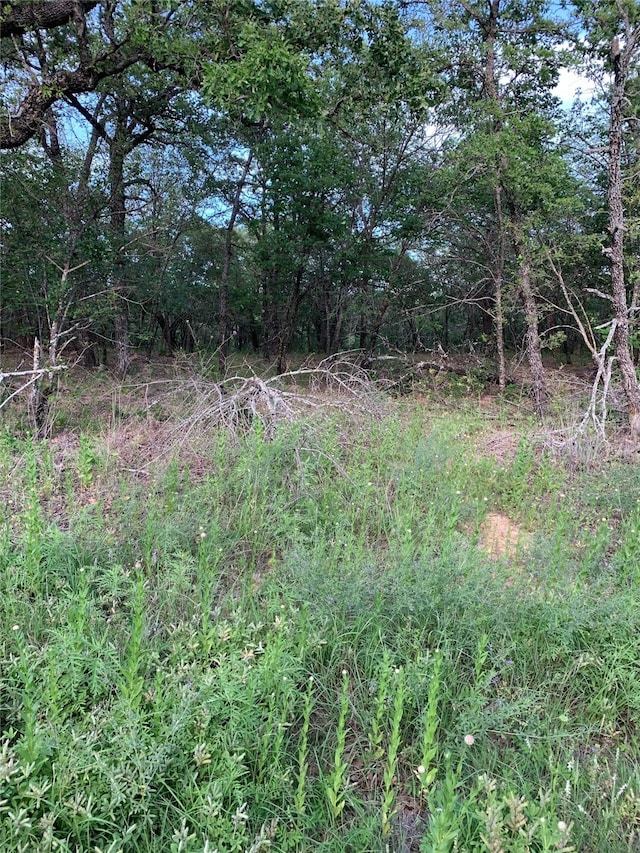 Listing photo 3 for LOT23 Hauser Pl, Runaway Bay TX 76426