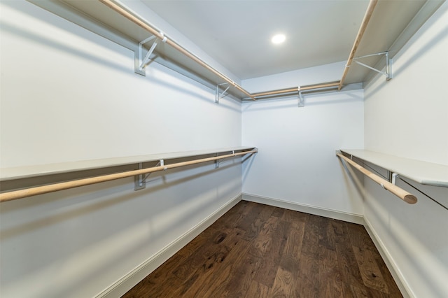 walk in closet featuring dark hardwood / wood-style flooring