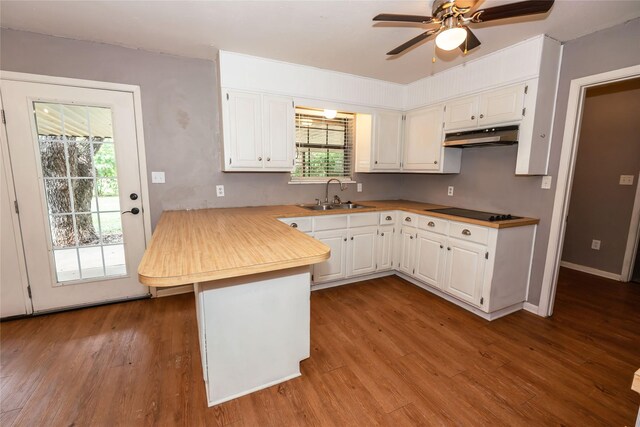 kitchen featuring white cabinetry, black electric cooktop, ceiling fan, light hardwood / wood-style floors, and sink