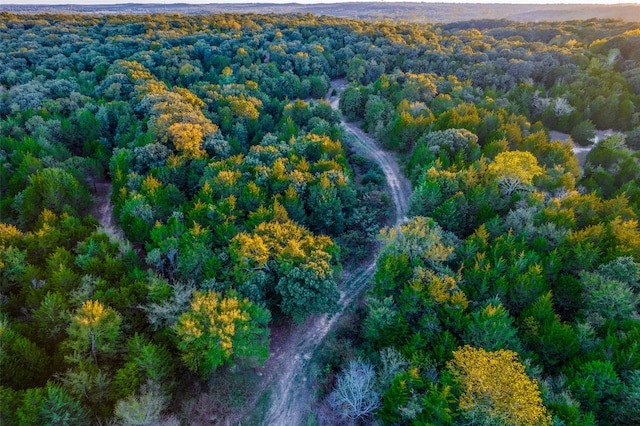 TBD County Road 174, Gainesville TX, 76240 land for sale