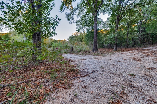 Listing photo 3 for TBD County Road 174, Gainesville TX 76240